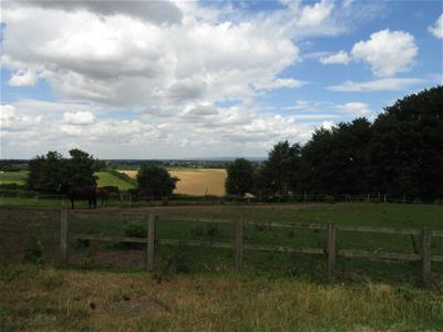 Picture 12